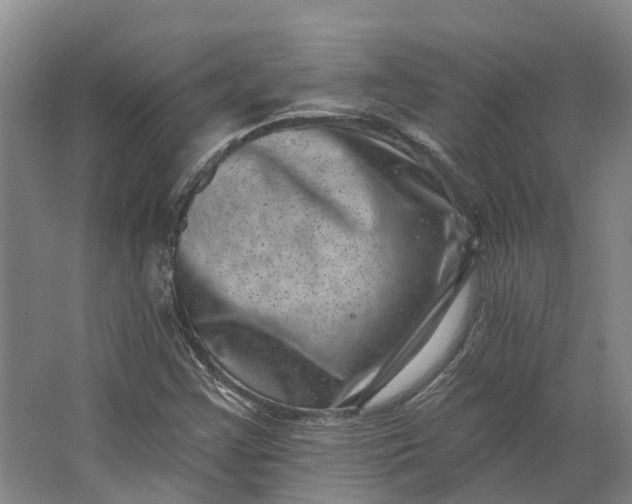 X0000062791355200601051035