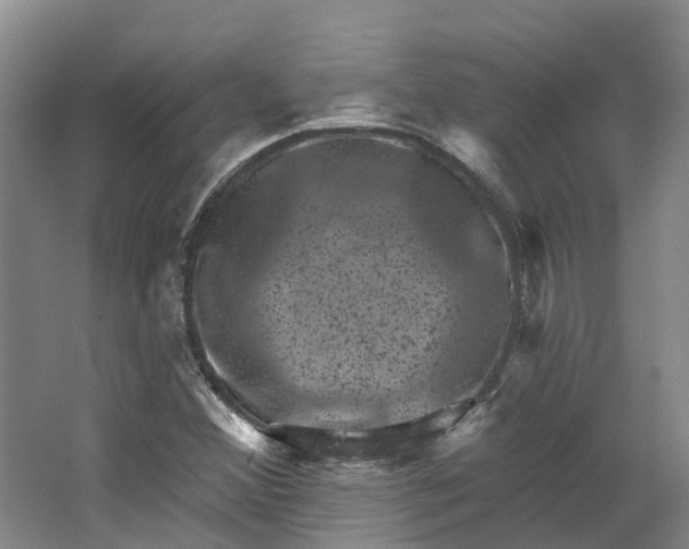 X0000062791356200601051035