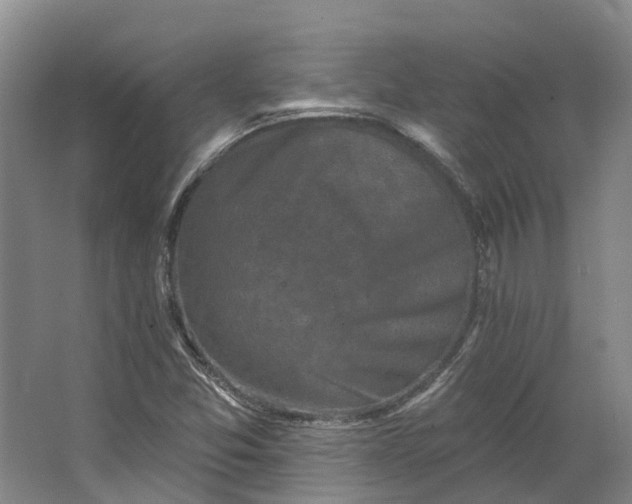 X0000062791357200601051035