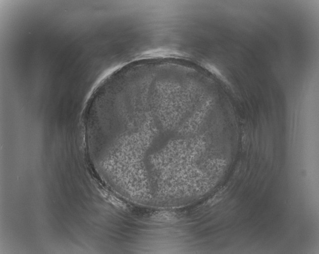 X0000062791358200601051035