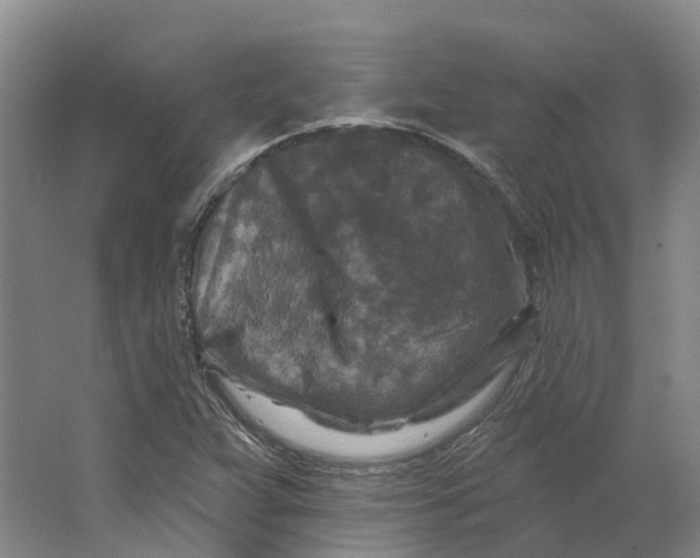 X0000062791359200601051035