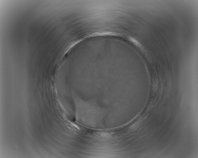 X0000062791361200601051035