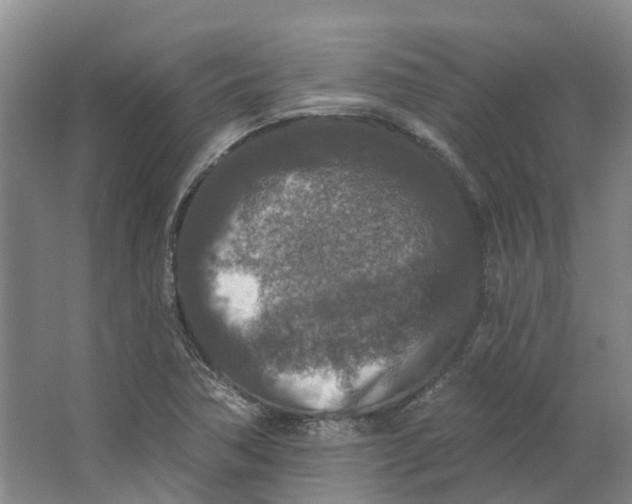 X0000062791362200601051035