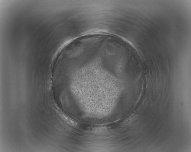 X0000062791363200601051035