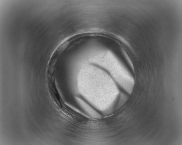 X0000062791364200601051035