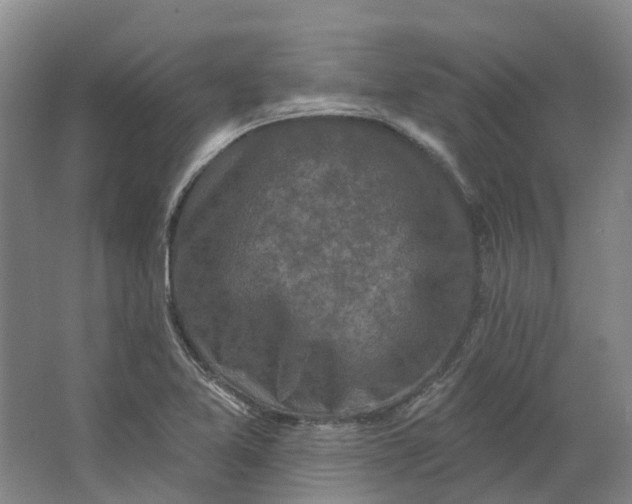 X0000062791365200601051035