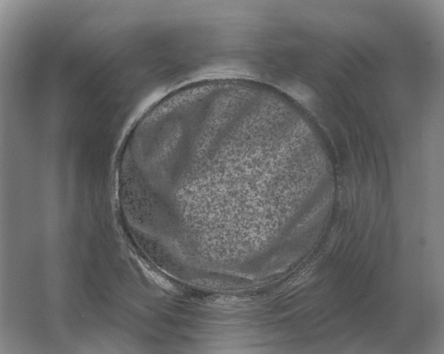 X0000062791366200601051035