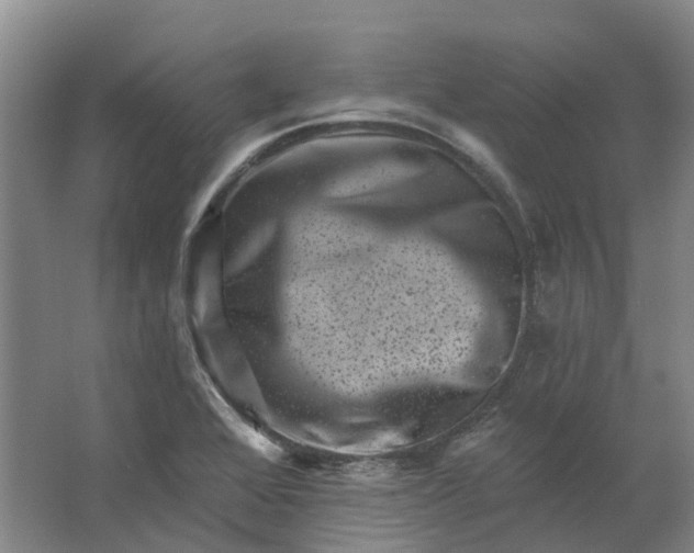 X0000062791368200601051035