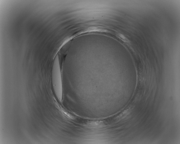 X0000062791369200601051034