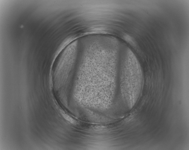 X0000062791370200601051034