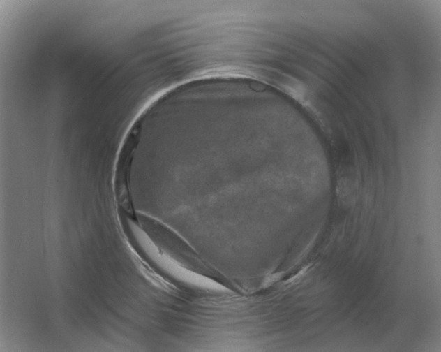 X0000062791372200601051034