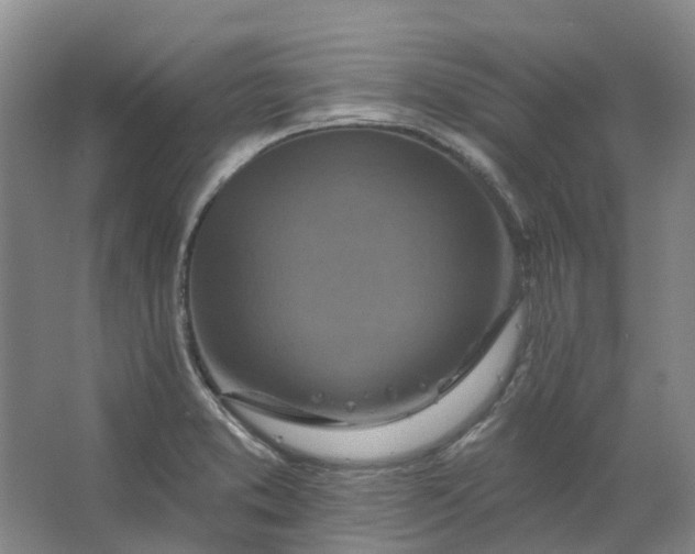 X0000062791373200601051034