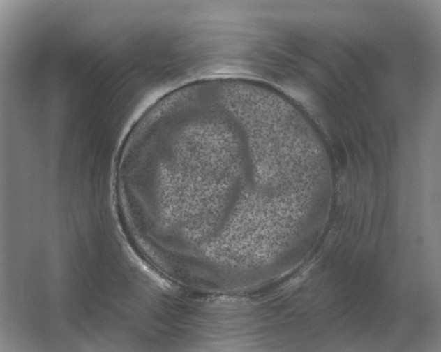 X0000062791374200601051034