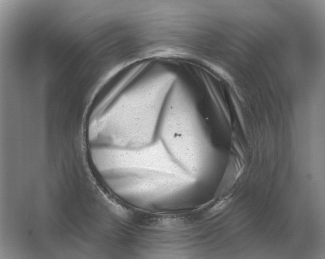 X0000062791375200601051034