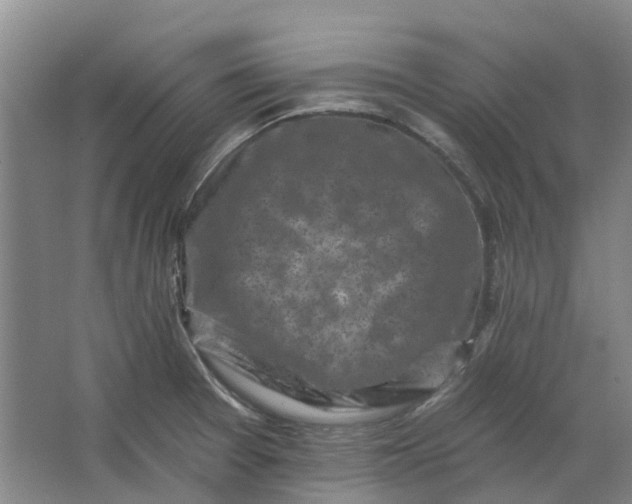 X0000062791377200601051034