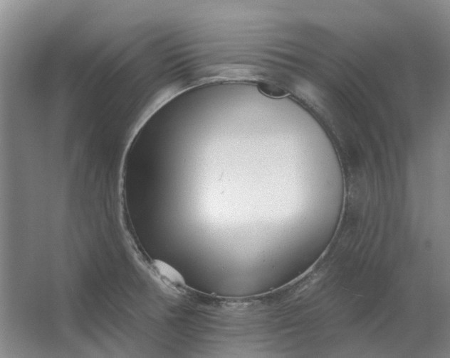 X0000062791378200601051034