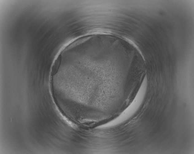 X0000062791379200601051034