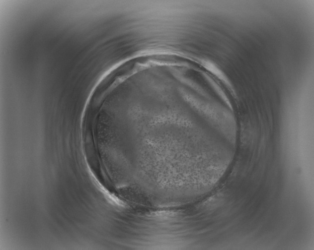 X0000062791380200601051034