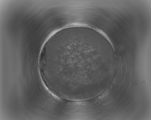 X0000062791381200601051034