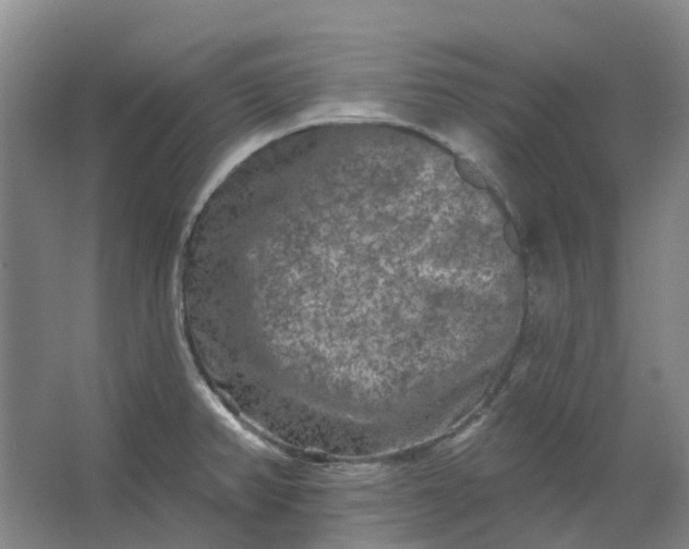 X0000062791382200601051034