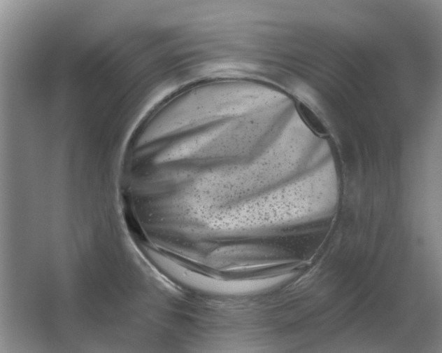 X0000062791384200601051034