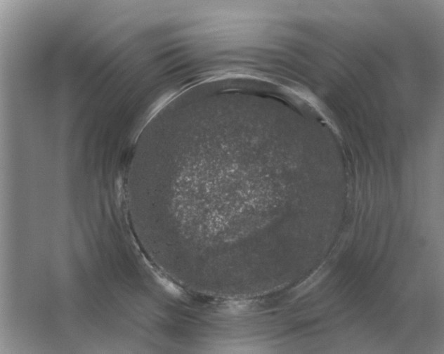 X0000062791385200601051034