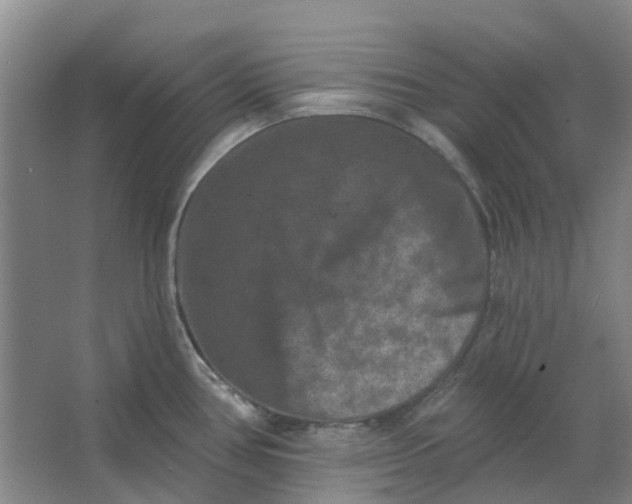 X0000062791386200601051034