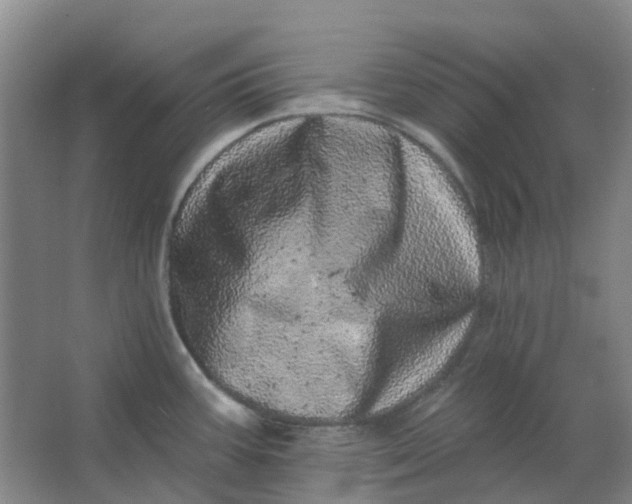 X0000062791387200601051034