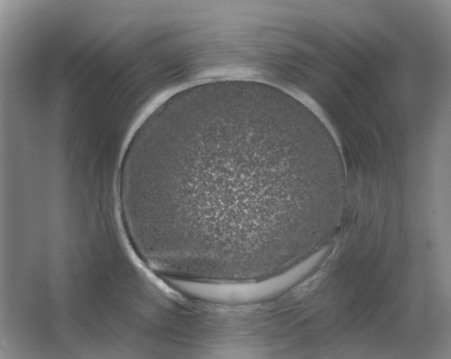 X0000062791389200601051034