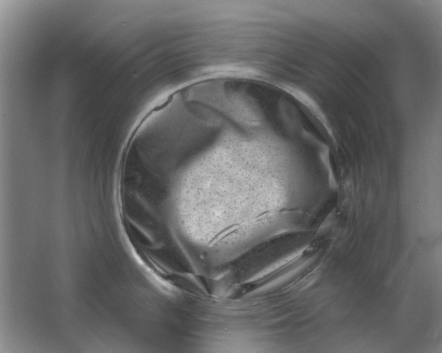 X0000062791391200601051034