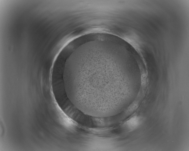 X0000062791392200601051034