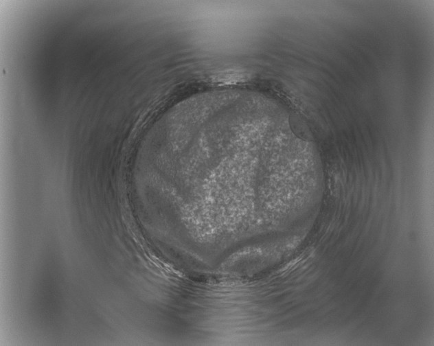 X0000062791393200601051033