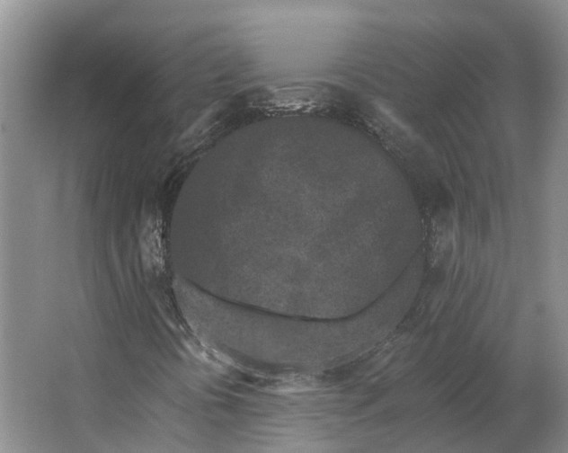 X0000062791394200601051033