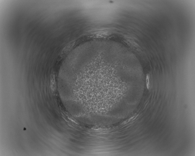 X0000062791395200601051033