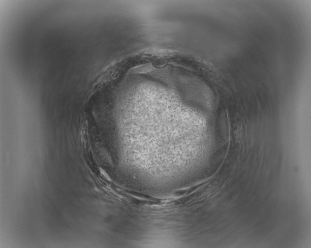 X0000062791397200601051033