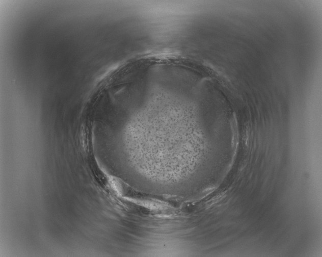 X0000062791398200601051033