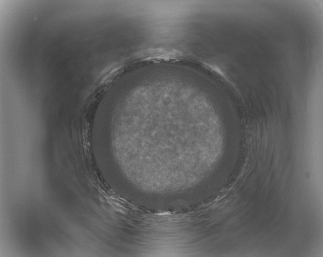 X0000062791399200601051033