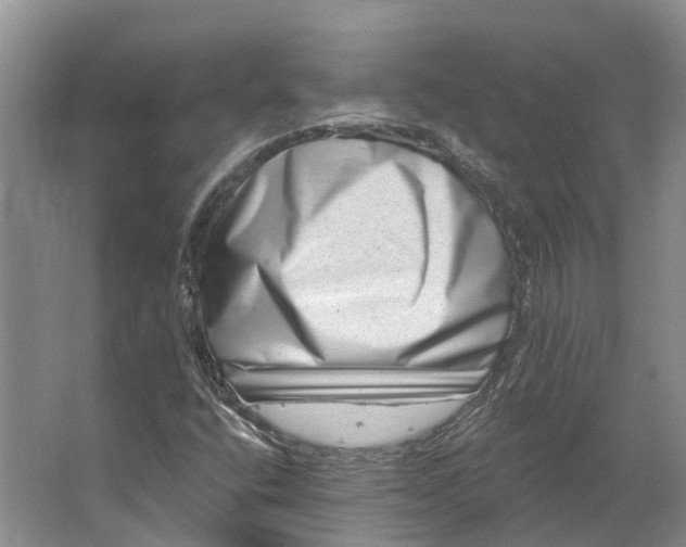 X0000062791400200601051033