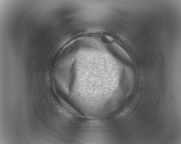 X0000062791401200601051033