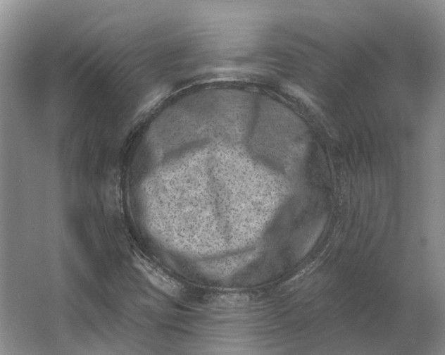 X0000062791403200601051033