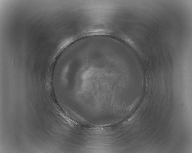 X0000062791405200601051033