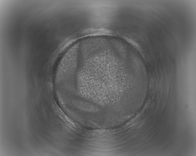 X0000062791407200601051034