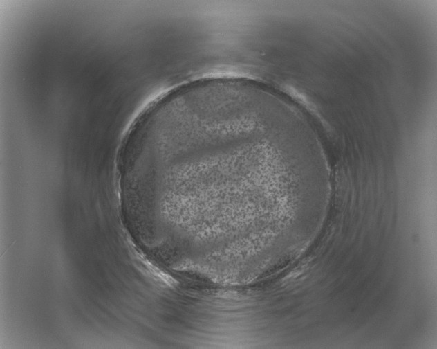 X0000062791408200601051034