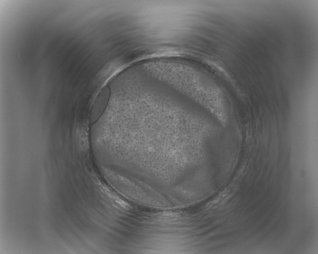 X0000062791409200601051034