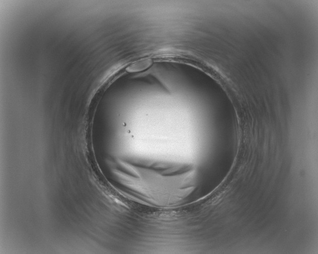 X0000062791410200601051034