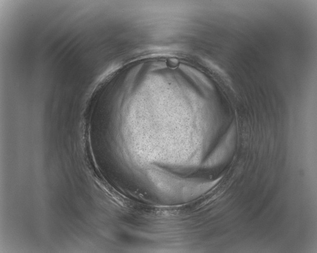 X0000062791411200601051034