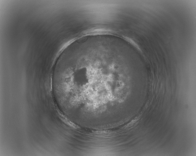 X0000062791413200601051034