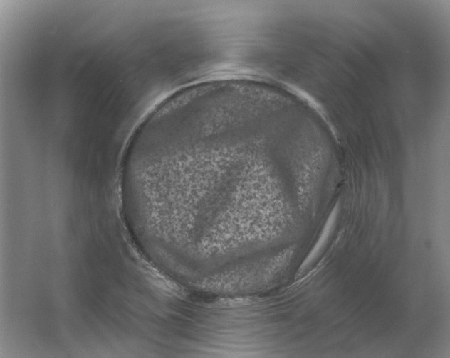 X0000062791415200601051034