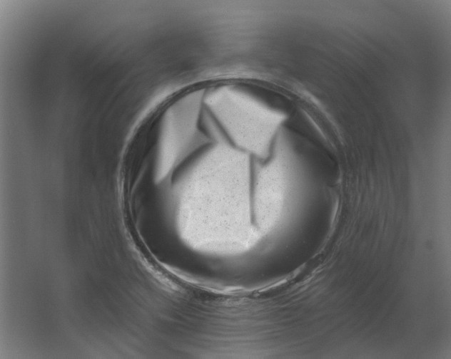 X0000062791416200601051034