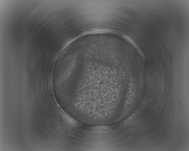 X0000062791417200601051034